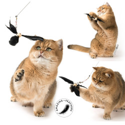 Katzenspielzeug für die Spielangel, bestehend aus einer Kugel und drei Federn - erhältlich in Weiß, Schwarz und Braun